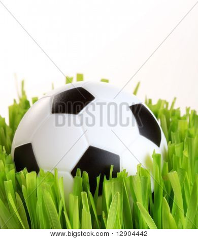 Fotbal na trávě