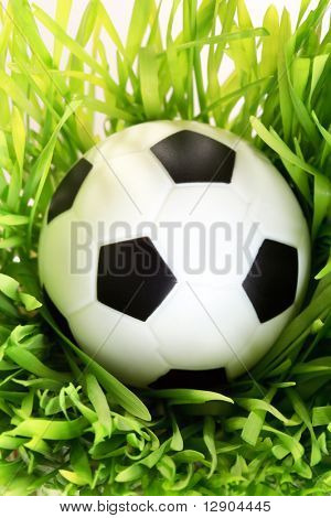 Fotbal na trávě