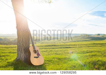 Classical Guitar Propped Against A Tree Trunk