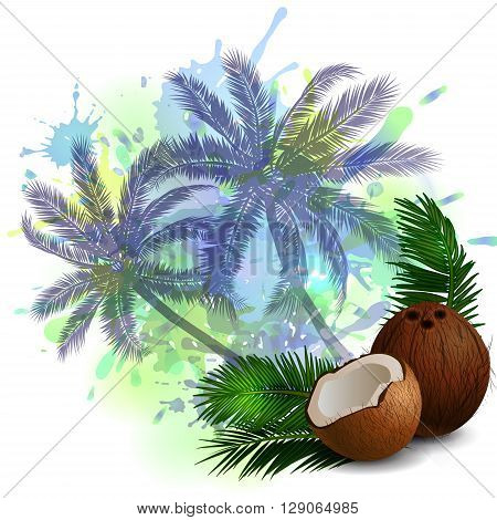 Coconut tropical nut fruit with cut vector illustration on abstract background with palms