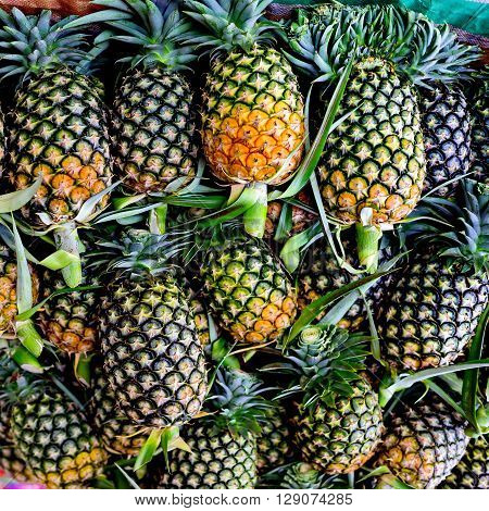 Maui gold pineapples on display at the farmer's market in Thailand