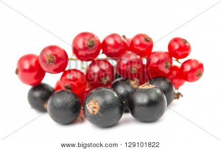 black and red currant isolated on white background