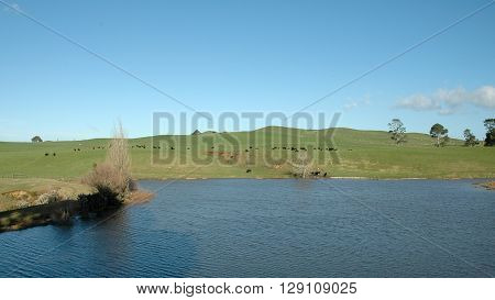 Countryside with meadows lakes trees and blue skies