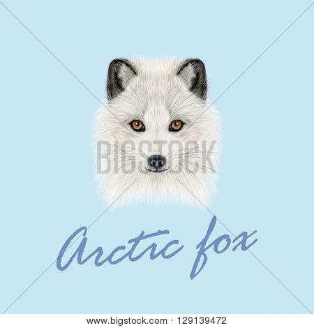 Vector Illustrated Portrait of Arctic fox. Cute white fluffy face of Polar Fox on blue background.