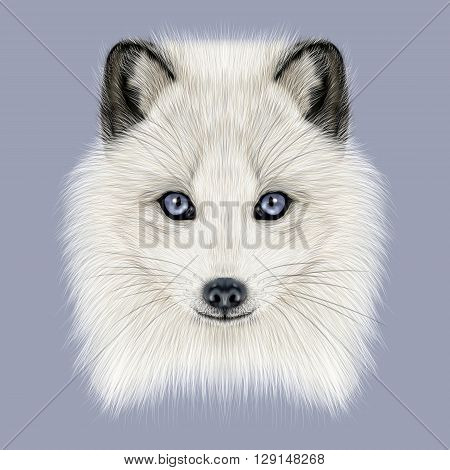 Illustrated Portrait of Arctic fox. Cute white fluffy face of Polar Fox on dark blue background.