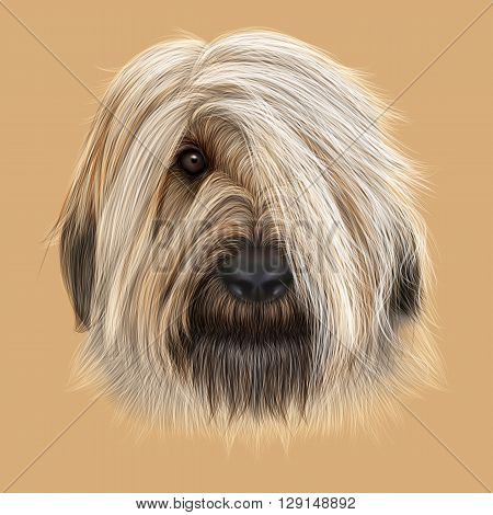 Illustrated Portrait of Briard dog. Cute face of fluffy dog on tan background