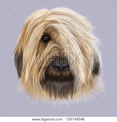 Illustrated Portrait of Briard dog. Cute face of fluffy dog on blue background