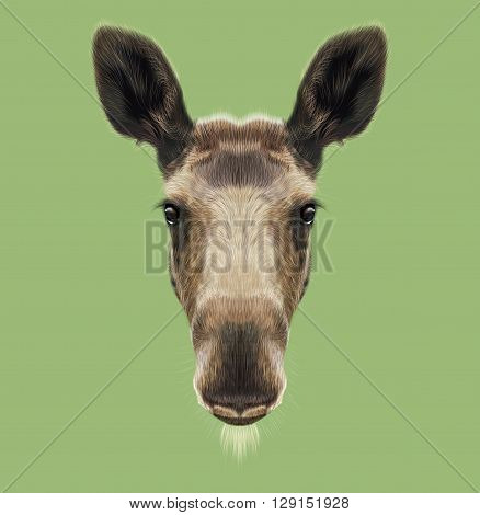 Illustrated Portrait of Moose. Cute face of forest elk on green background.