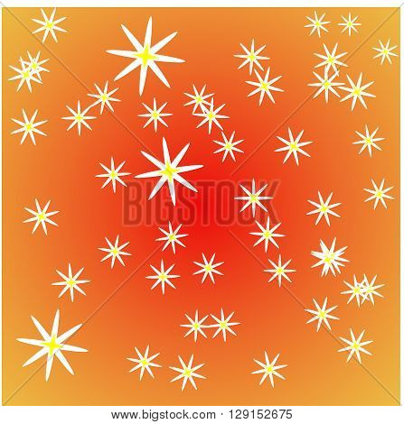 White daisies are arranged in a disorderly form.