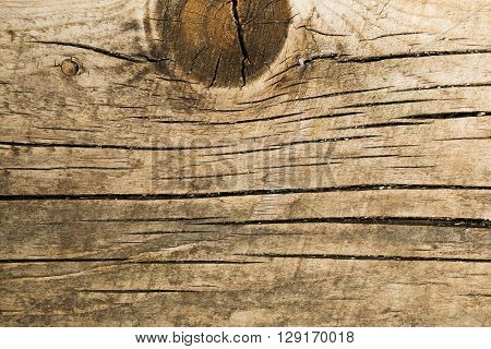Old natural wooden shabby background close up, macro shooting