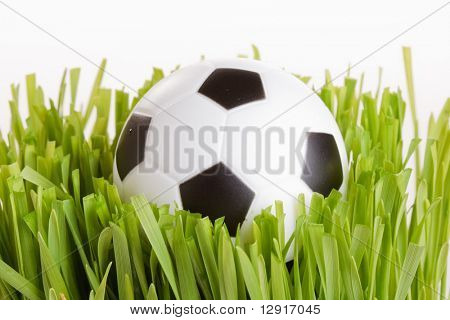 Fotbal na trávě
