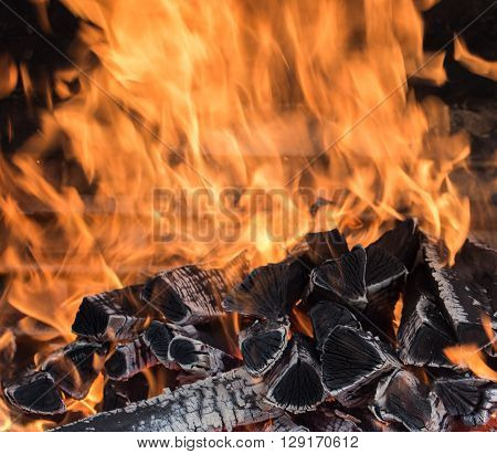 the fire on the wood, charred wood, ash
