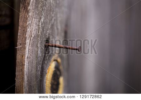 old wooden Board with a rusty nail, macro shooting