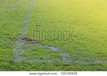 Green  grass of football field at the coner