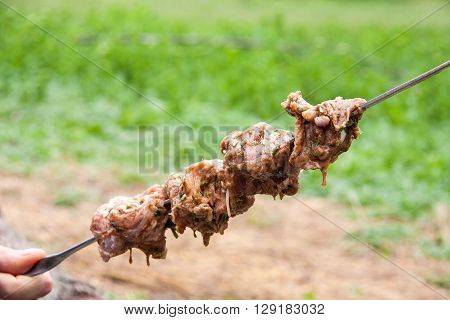 grilled kebab on a skewer are holding on nature.