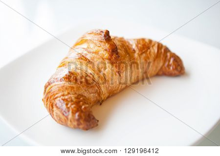 Freshly baked brown croissant on white plate