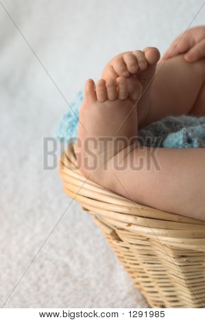 Baby Feet