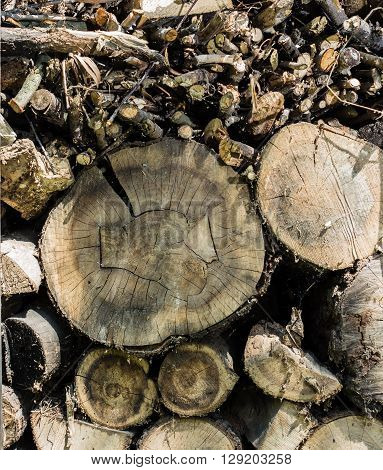Old Wooden Fence And Wood