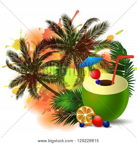 Exotic green coconut cocktail isolated on aabstract inkblot background with palms