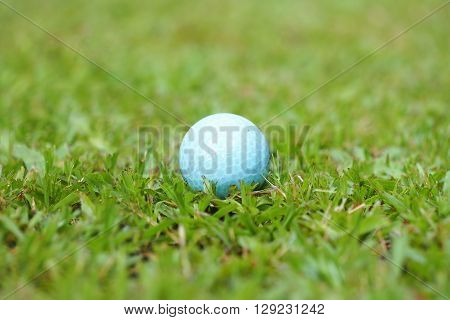 Golf crystal blue ball on green grass in golf course