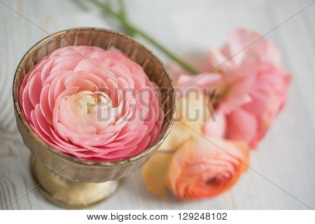 bunch of pale pink ranunculus persian buttercup light background, wooden surface. glass vase.  spring, summer