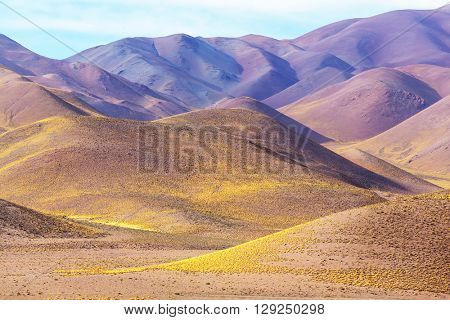 Scenic landscapes of Northern Argentina