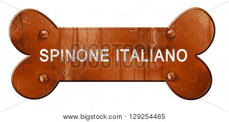 Spinone italiano, 3D rendering, rough brown dog bone