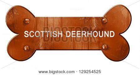 Scottish deerhound, 3D rendering, rough brown dog bone