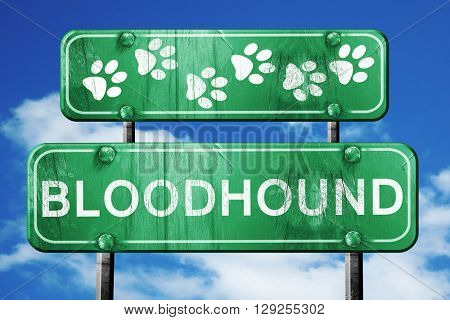 Bloodhound, 3D rendering, rough green sign with smooth lines