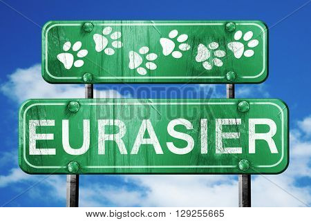 Eurasier, 3D rendering, rough green sign with smooth lines