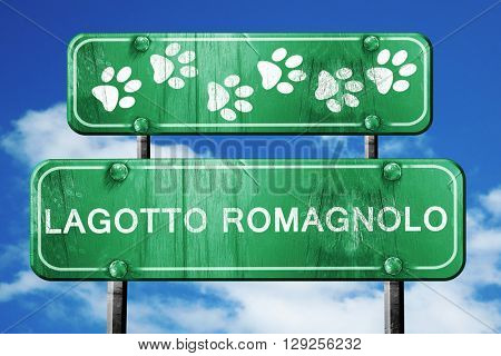 Lagotto romagnolo, 3D rendering, rough green sign with smooth li