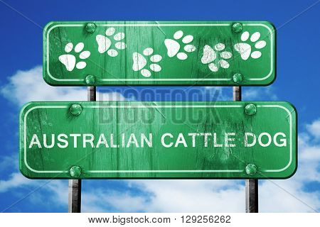 Australian cattle dog, 3D rendering, rough green sign with smoot