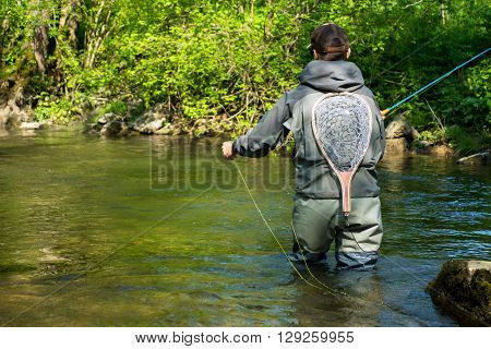 Fly Fisherman Fishing Trouts In  River