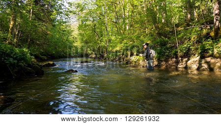 Fly Fisherman Fishing Trouts In  River
