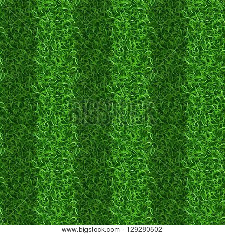 Striped green grass field seamless vector texture. Grass repeat organic, grass gridiron field, soccer or football playing grass field illustration