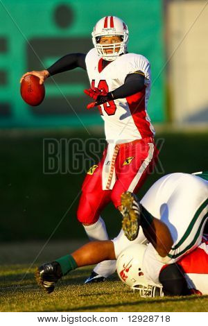 Draci Vs. Bulls