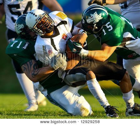 Draci Vs. Panthers