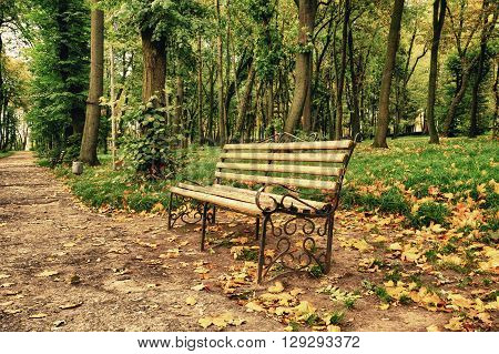Bench by the road in the Park
