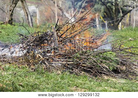 Fire and Smoke from during Burning of garden waste