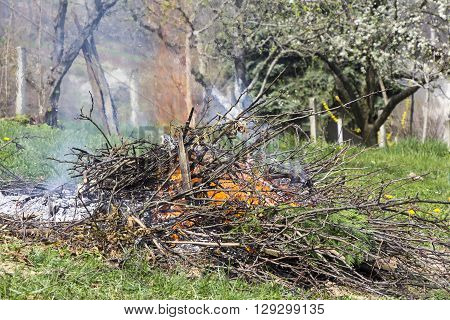Fire and Smoke from during Burning of garden waste