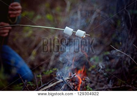 Roasting marshmallows at campfire in the forest.
