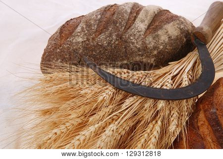 bunch of mown wheat ears with vintage handmade reaper hook sickle and rye and white dark french fresh bread loaf on light linen tablecloth