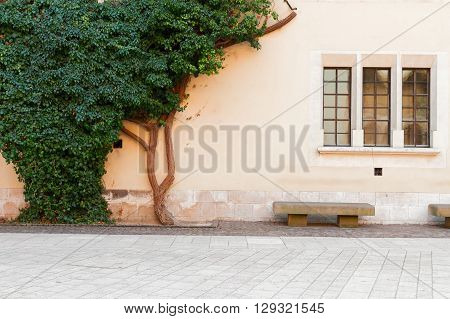 cortyard of Wawel  castle in Krakow, Poland