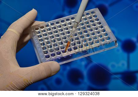 In the biomedical laboratory. The study of biological sample in a well plate.