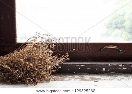 The dry flower on old plank at the windowsill