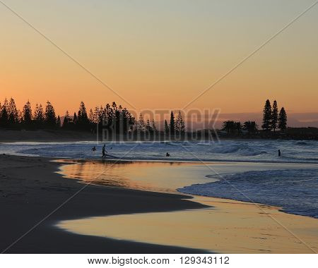 Evening scene in Port Macquarie Australia. Beach and silhouettes of trees.