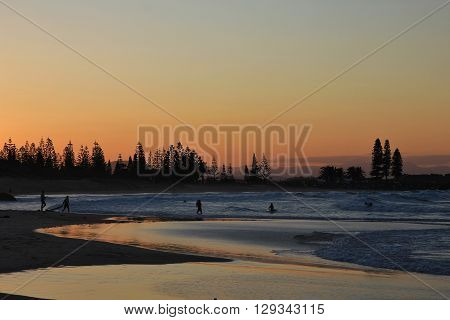 Evening scene at the beach in Port Macquarie Australia. Ocean beach and silhouettes of trees.