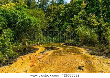 Khao Pra Bang Khram Wildlife Sanctuary way to Emerald Pool aka Sa Morakot tourist destination. National Park Krabi Thailand. Green tropical forest Southeast Asia. Yellow and orange soil