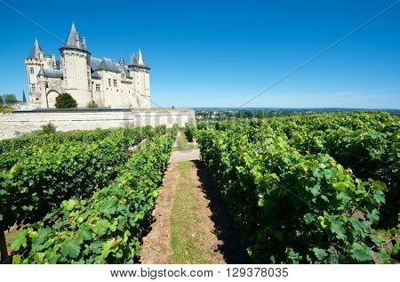 Saumur castle and Loire River, Loire Valley, France. Saumur Castle was built in the tenth century and rebuilt in the late twelfth century.