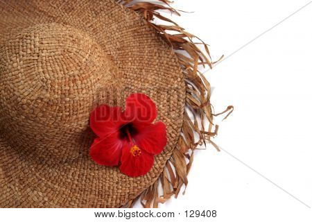 Cappello tropicale